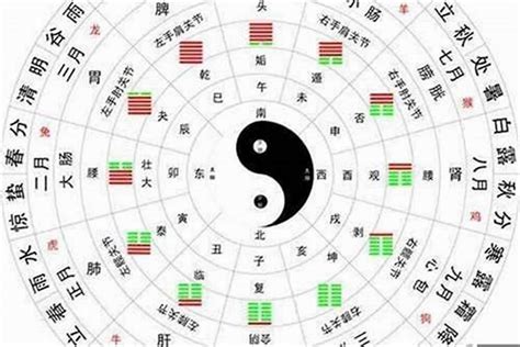 五行金旺|八字五行金旺代表什么 (八字金过旺是什么意思)